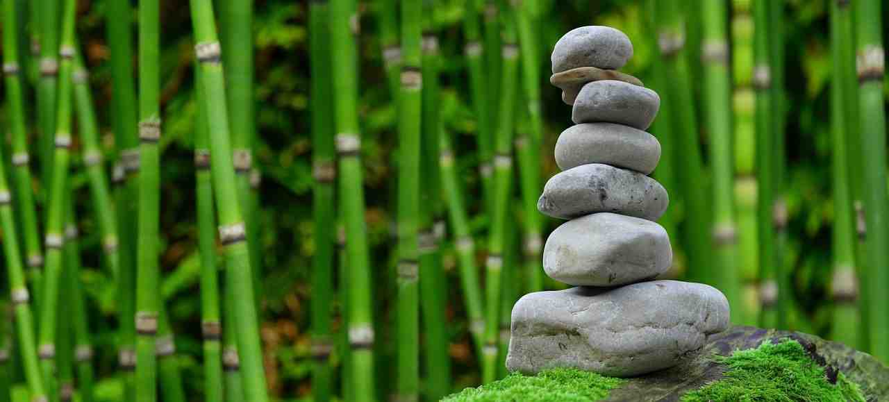zen, jardin, méditation